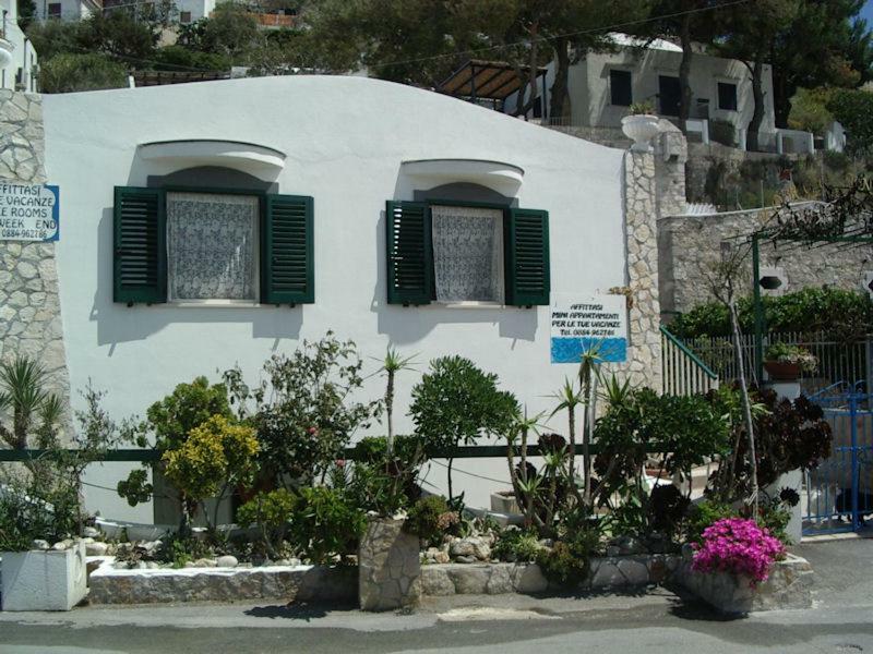 Blu Marine Casa A 10Mt Dalla Spiaggia Peschici Exterior photo
